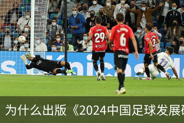 为什么出版《2024中国足球发展研讨会白皮书》？