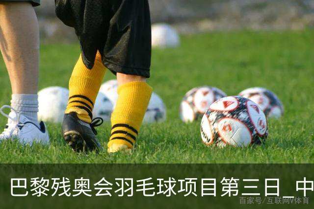 巴黎残奥会羽毛球项目第三日 中国队取得13胜3负